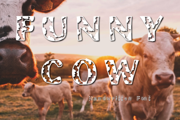 Funny Cow Font: A Playful Display Typeface for Web Design