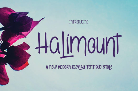 Halimount: A Versatile Display Font for Modern Branding