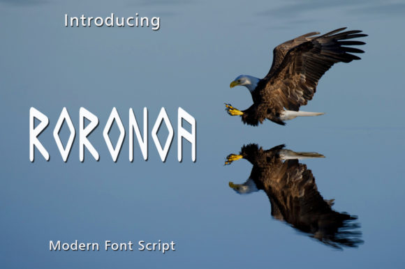 Roronoa: A Display Font with Eclectic Charm